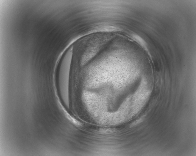 X0000068280843200605051839