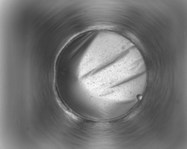 X0000068280844200605051839