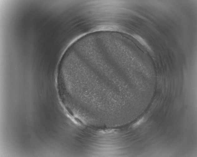 X0000068280846200605051839