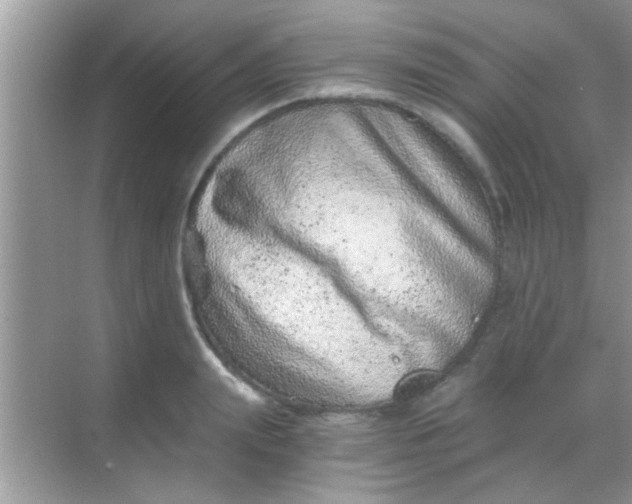 X0000068280847200605051839