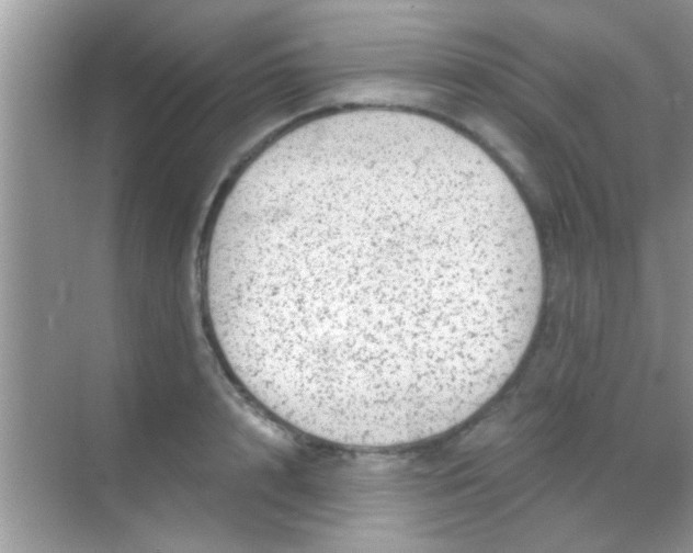 X0000068280848200605051839