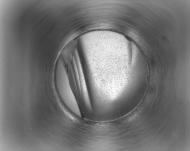 X0000068280850200605051839