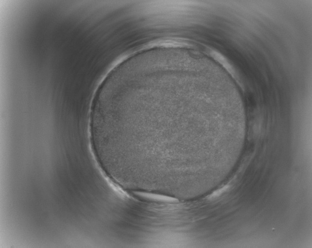 X0000068280853200605051839