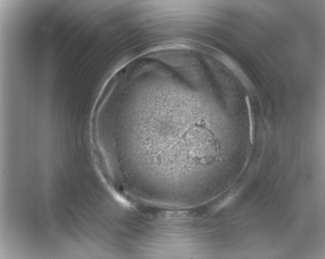 X0000068280858200605051840