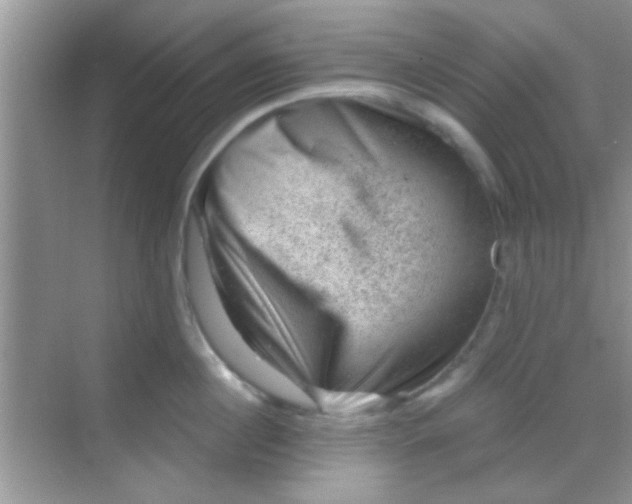 X0000068280860200605051840