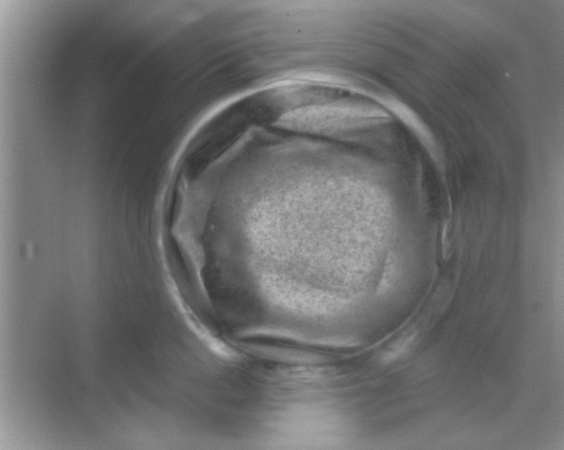 X0000068280862200605051840