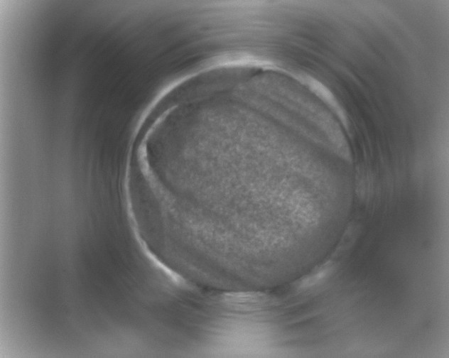 X0000068280863200605051840