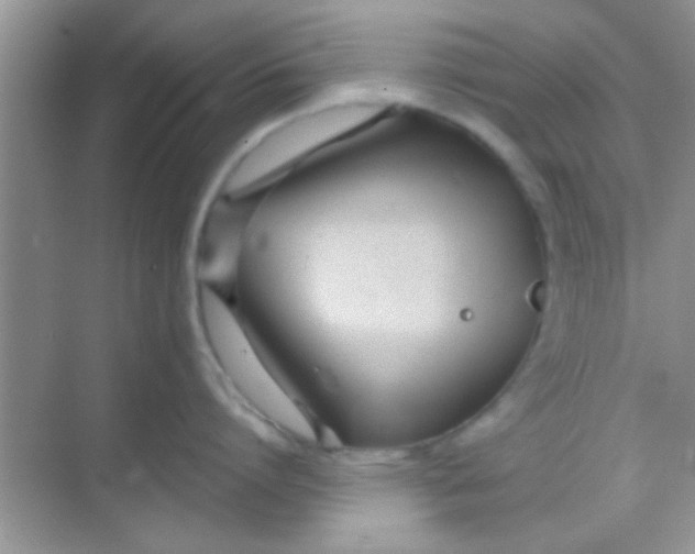 X0000068280864200605051840