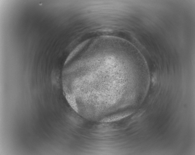 X0000068280867200605051839