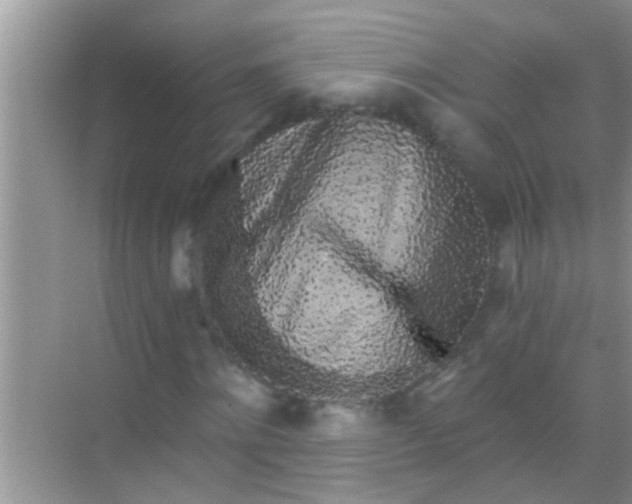 X0000068280868200605051839