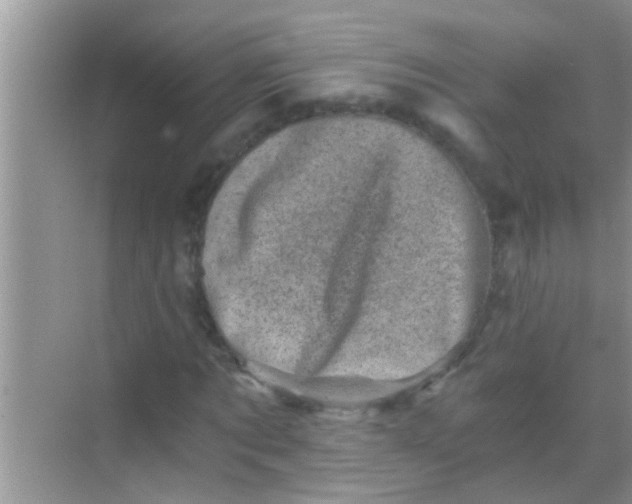 X0000068280869200605051839