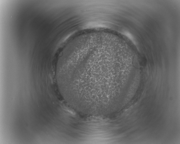 X0000068280871200605051839