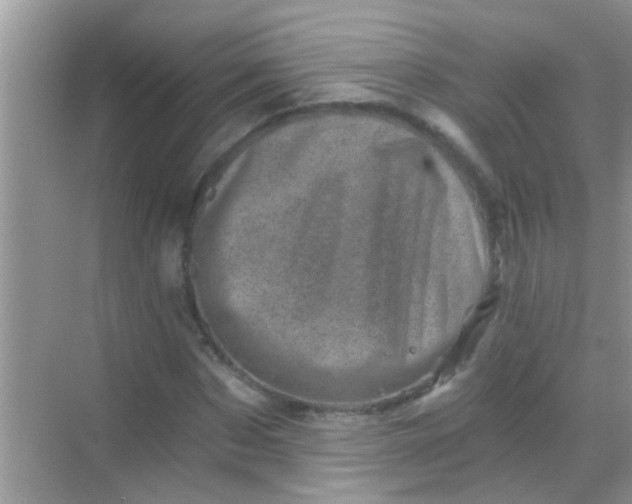 X0000068280873200605051839