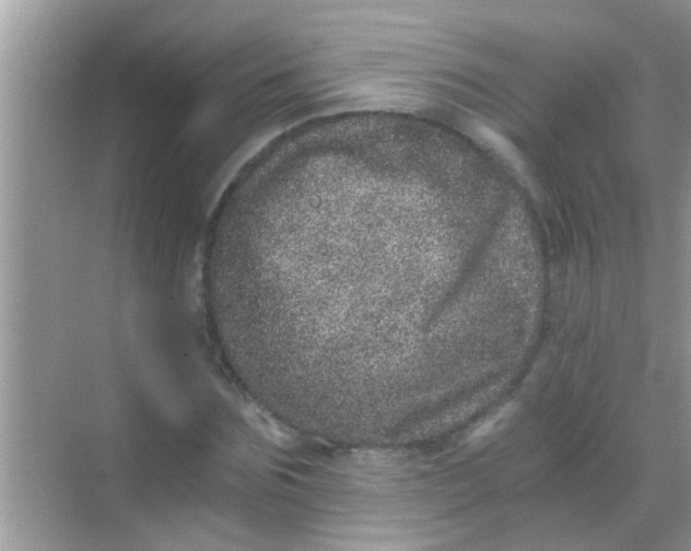 X0000068280875200605051839