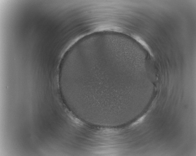 X0000068280877200605051839