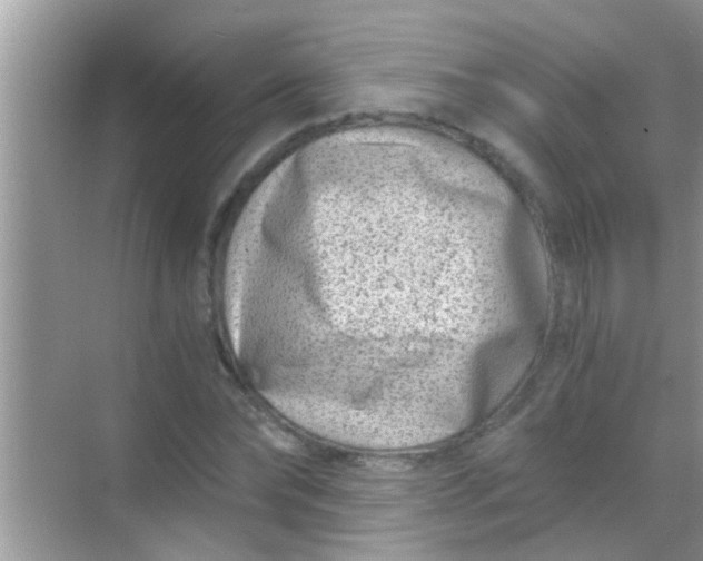 X0000068280878200605051839