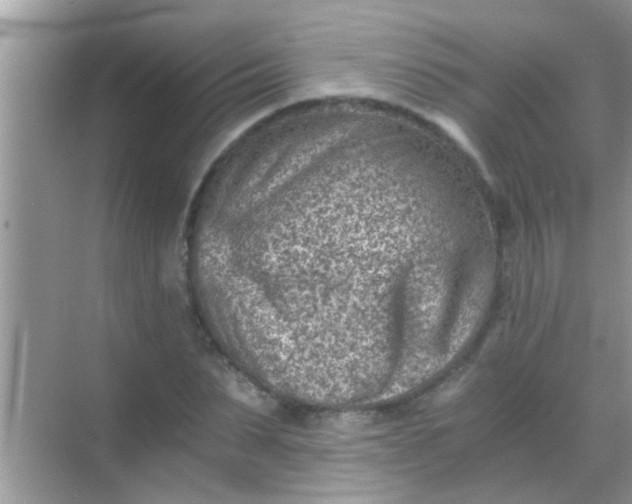 X0000068280879200605051839