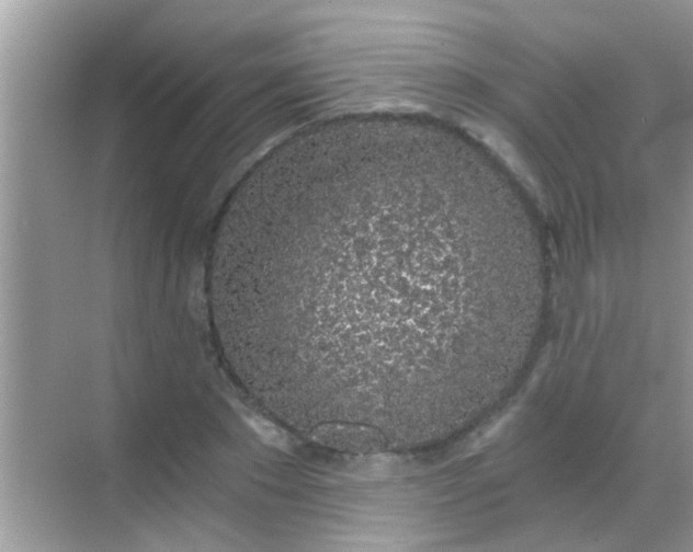 X0000068280881200605051839