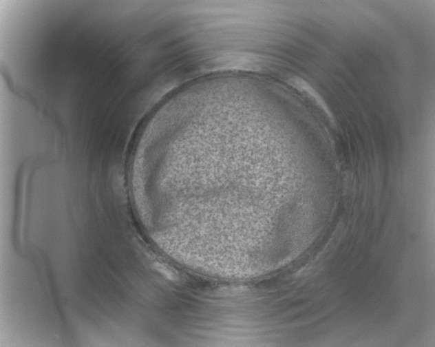 X0000068280882200605051839