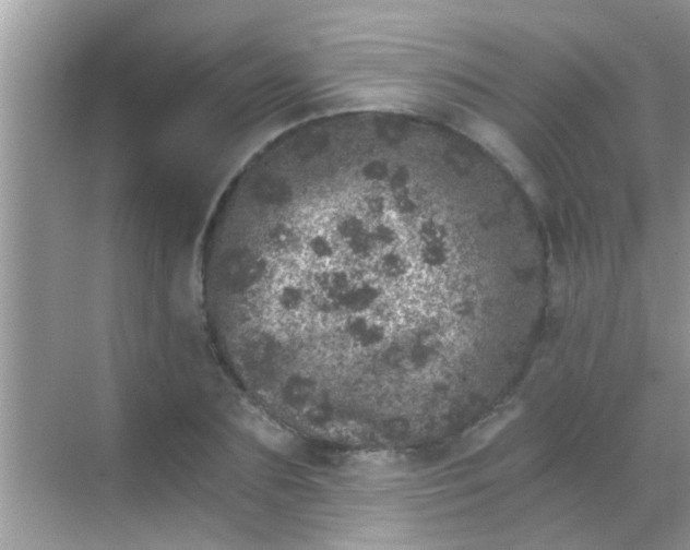 X0000068280883200605051839