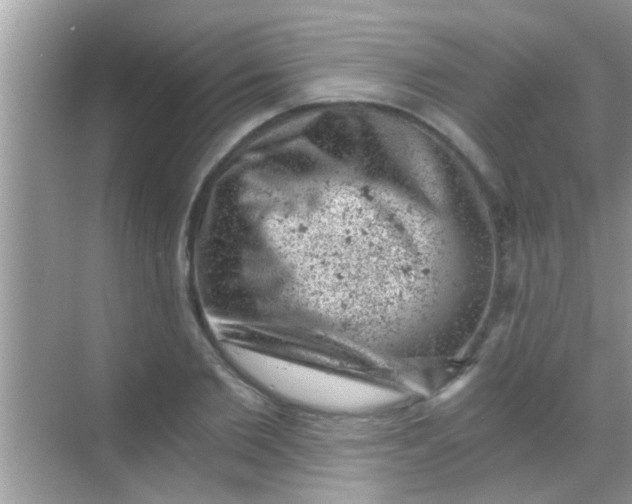 X0000068280885200605051839