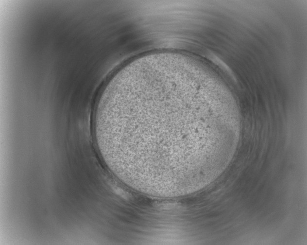 X0000068280886200605051839