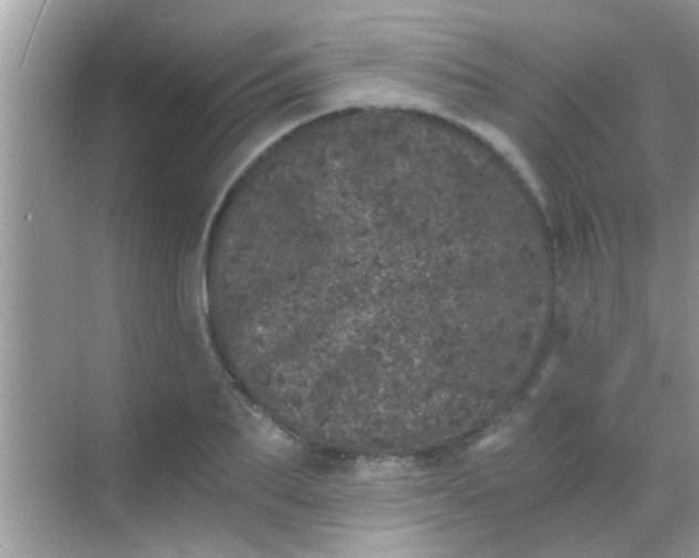 X0000068280887200605051839