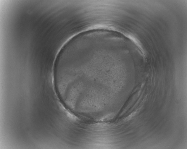 X0000068280888200605051838