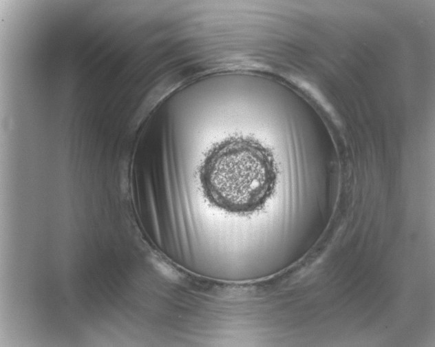 X0000068280889200605051838