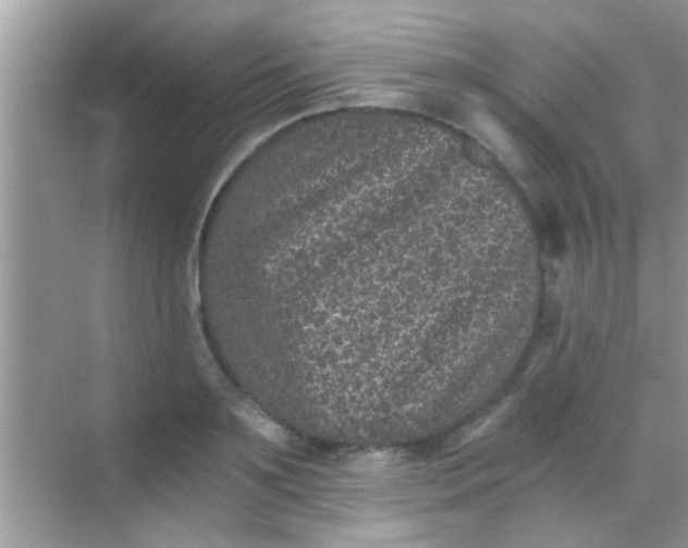 X0000068280891200605051838