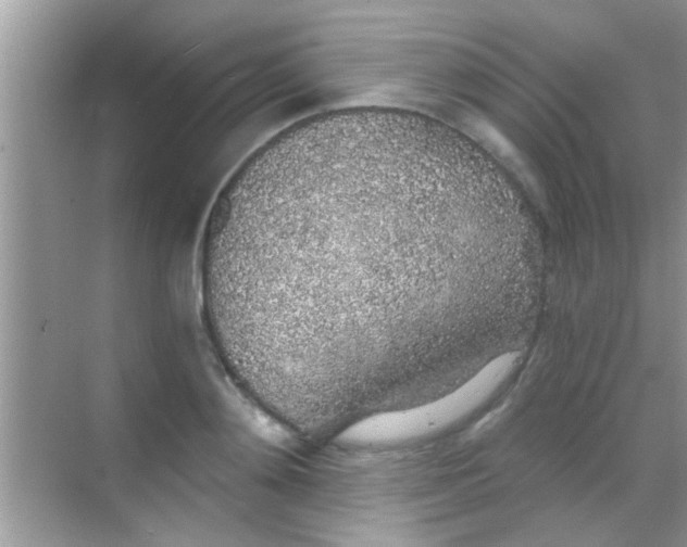 X0000068280892200605051838