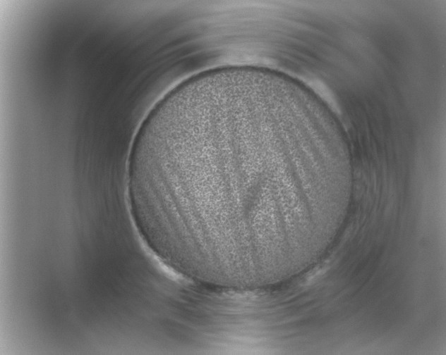 X0000068280895200605051838