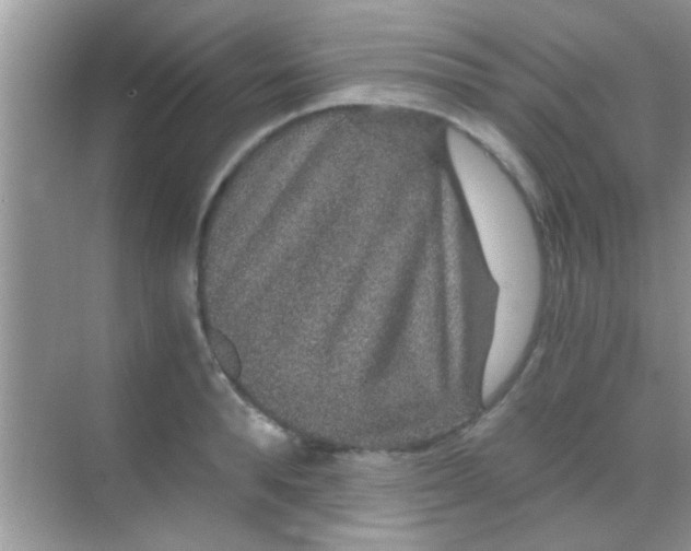 X0000068280896200605051838