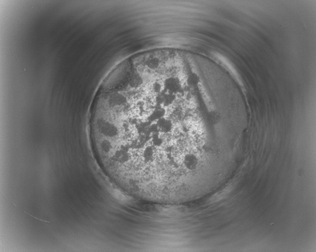 X0000068280899200605051838