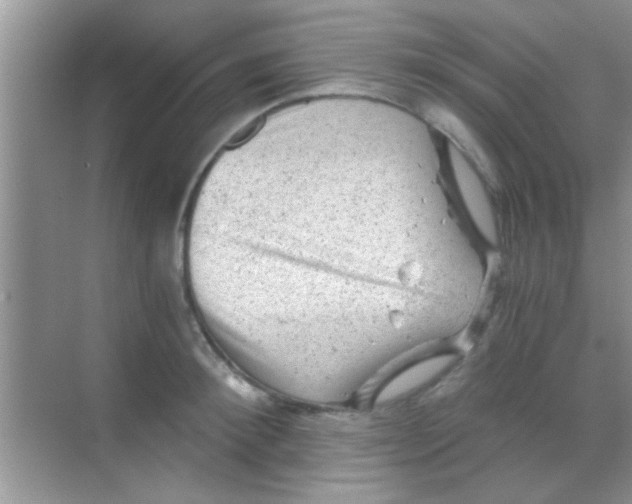 X0000068280900200605051838