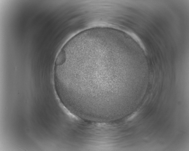 X0000068280903200605051838