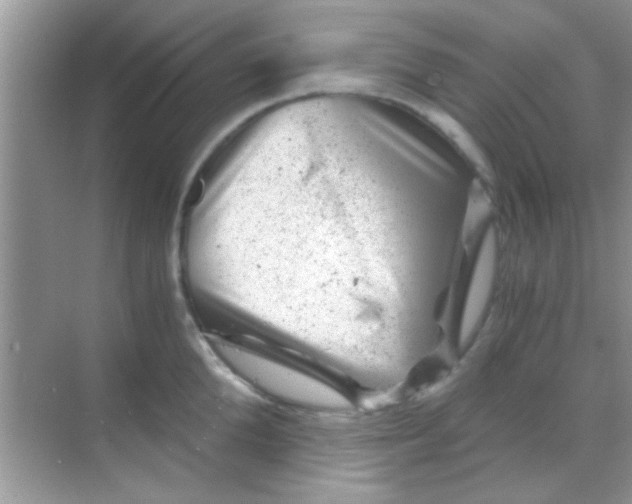 X0000068280904200605051838