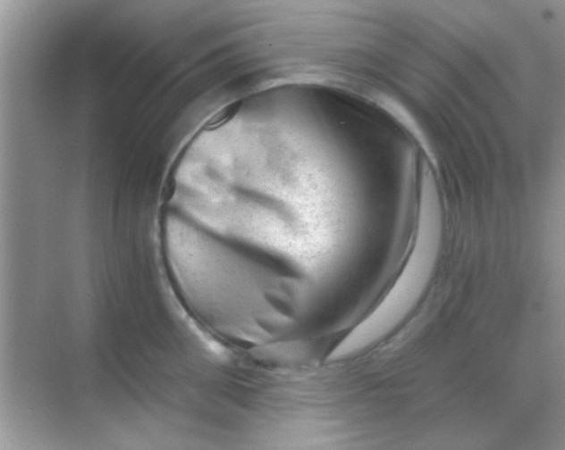 X0000068280906200605051838