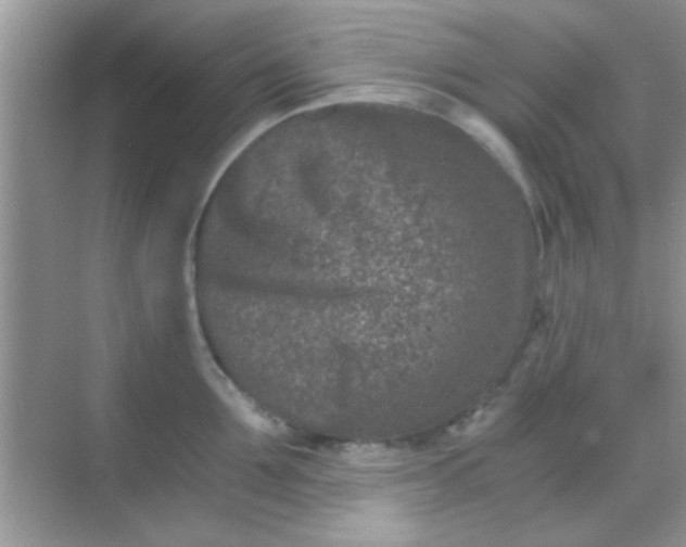 X0000068280907200605051838