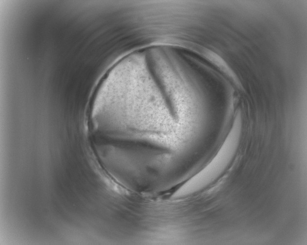 X0000068280908200605051838