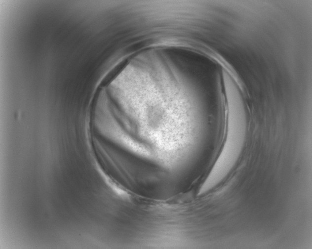 X0000068280909200605051838