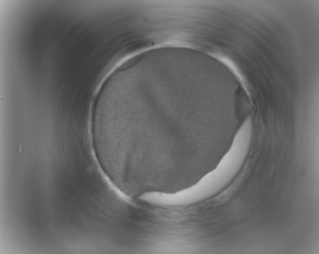 X0000068280910200605051838