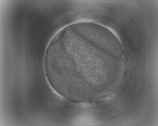 X0000068280911200605051838