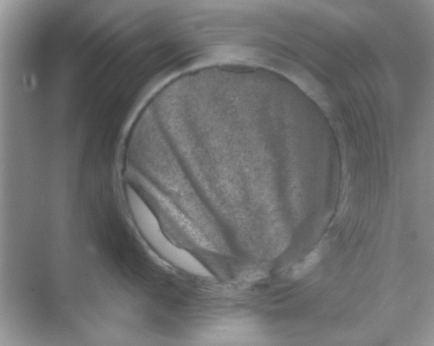 X0000068280912200605051838