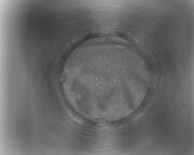 X0000068280913200605051837