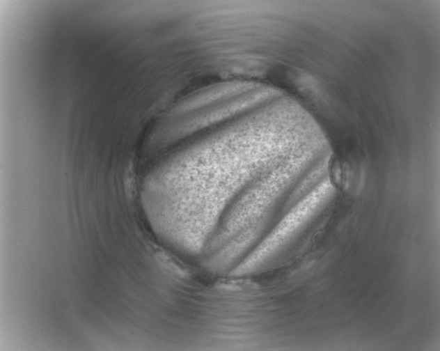 X0000068280915200605051837