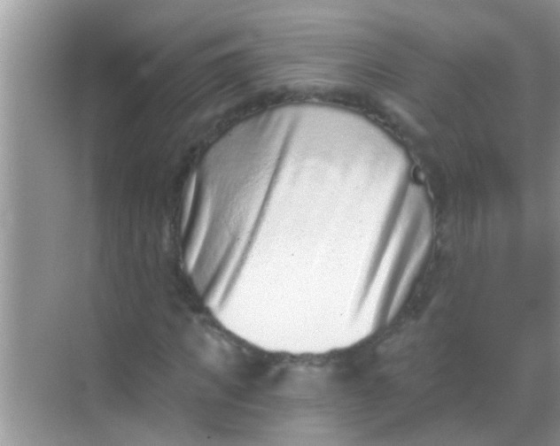 X0000068280917200605051837