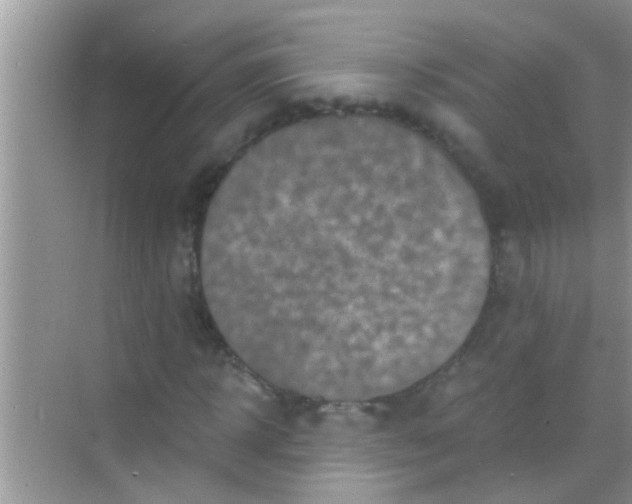 X0000068280918200605051837