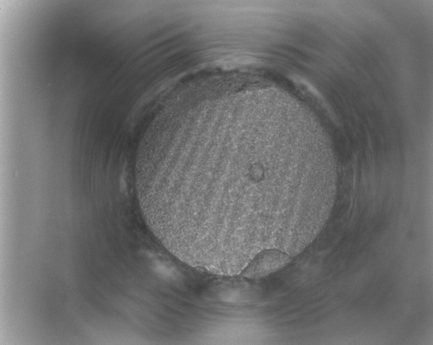 X0000068280919200605051837