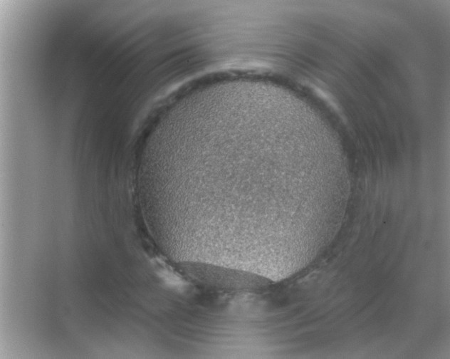 X0000068280920200605051837